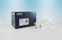 His-tag蛋白纯化磁珠