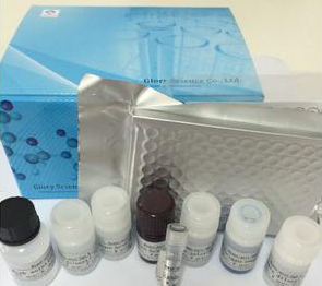 ATP2A2试剂盒