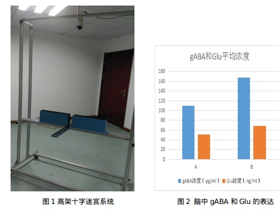 小鼠焦虑模型的建立.png