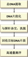 靶向捕获测序