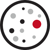 报告基因细胞系