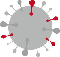 LentiCRTM-spKO慢病毒（基因敲除） 