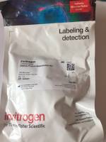 CBQCA Protein Quantitation Kit