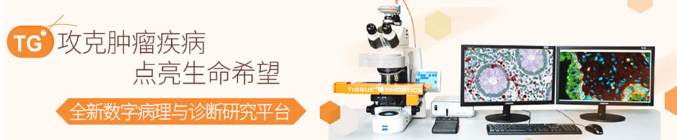 全景组织细胞定量分析系统--全新数字病理与诊断研究方案