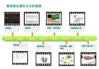 芯片数据分析服务