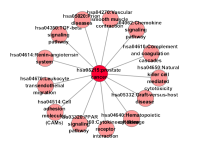 转录组学数据分析服务