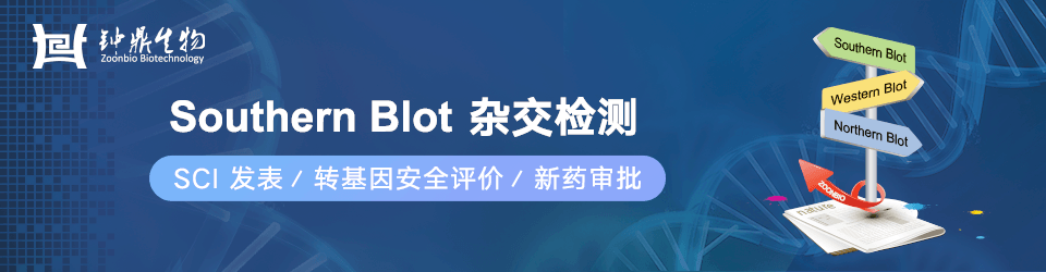 钟鼎：Southern Blot 杂交检测系列服务