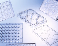 多孔细胞培养板，6孔，12孔，24孔，48孔