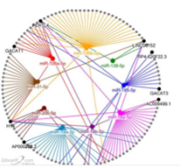 高通量测序数据分析