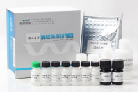 REG1b试剂盒