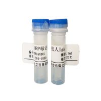 北京现货AP标记山羊抗小鼠IgG(H+L)批发