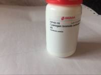 溴化活化琼脂糖凝胶