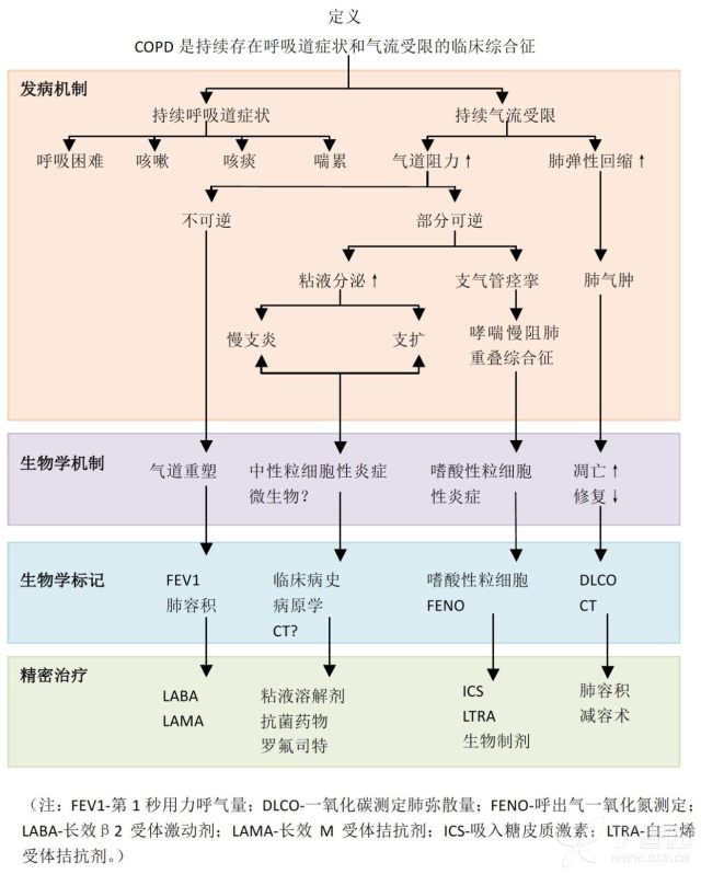 哮喘,copd 总是分不清?copd 的独特之处有哪些