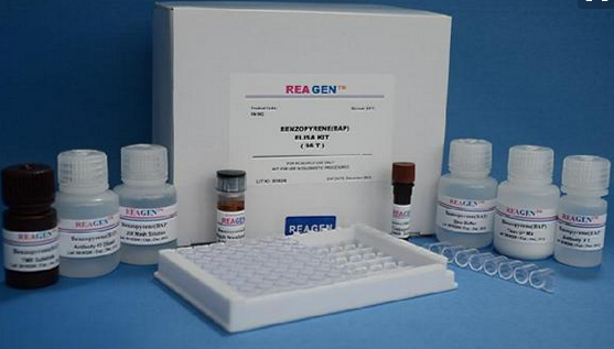 ENPP2试剂盒