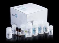 RNase-free EDTA 溶液 ,0.5M,pH 8.0100mL售后服务