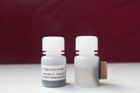 血液线粒体和核 DNA 双提试剂盒 25 次价格