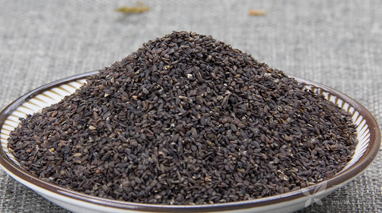 中医(专长)医师资格证书,每日学一味中药--车前子