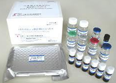ATP7b试剂盒