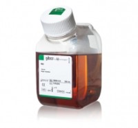 Gibco® | 胎牛血清（FBS）澳洲血源10099-141