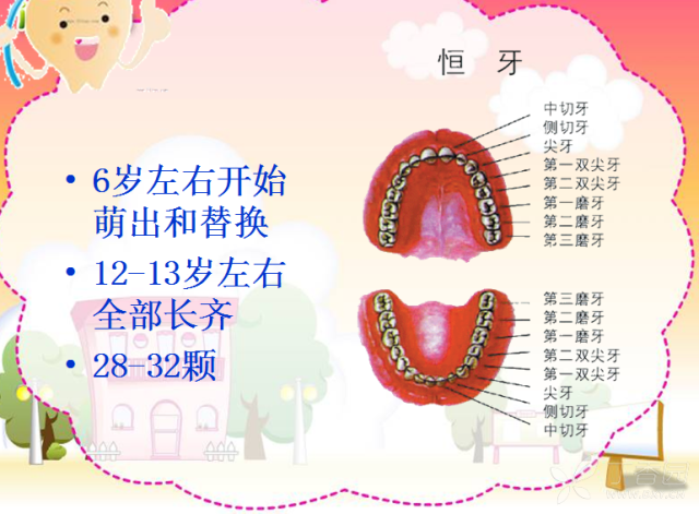 老年人口腔保健ppt_老年人口腔保健ppt下载