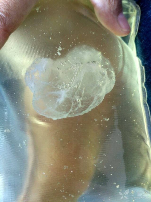 3242379805141272890-16w.jpg!w640