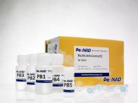一站式磁珠法全血 mRNA 提取试剂盒50 次说明书