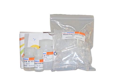 RNase-free Tris HCl,1M,pH 8.5100mL上海直销