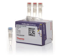 Thermo Scientific Phusion高保真DNA聚合酶 
