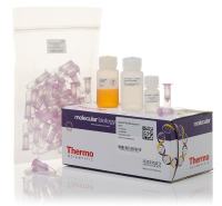 Thermo Scientific GeneJET 凝胶回收试剂盒