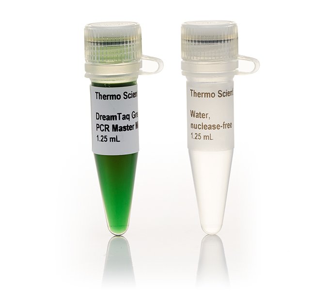 DreamTaq绿色PCR预混液，5 mL