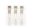 Thermo Scientific T4 DNA连接酶