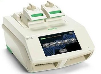       伯乐双48孔梯度PCR仪1851148    