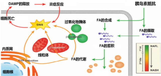 图1-白板.jpg