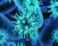 腺病毒包装服务（可申请试用）