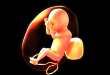 孕早期超声评估胎儿心脏畸形：可行性及存在的问题