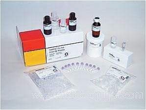 即用型荧光定量 PCR 试剂盒100 次售后服务