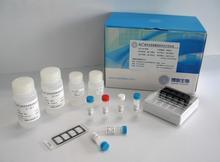 β内啡肽(β-EP)试剂盒说明书