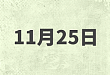 11 月 25 日日程