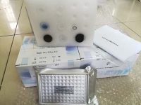 Hoechst33342/PI双染试剂盒