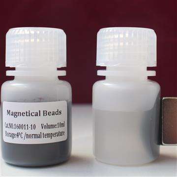 Bradford 法蛋白定量试剂盒100mL品牌