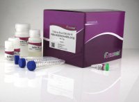 中量血液基因组 DNA 提取试剂盒