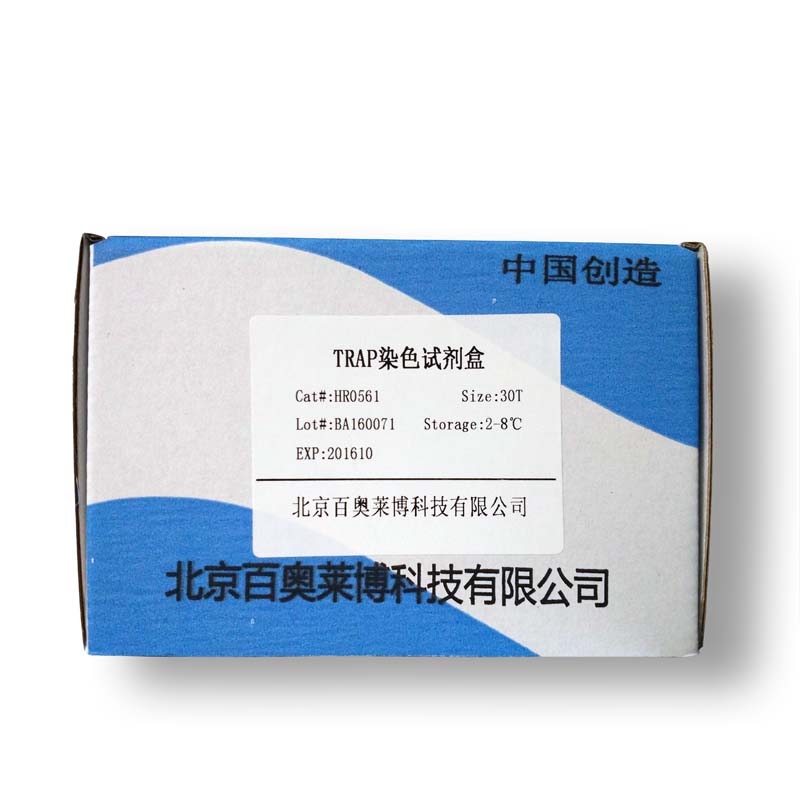 SY0759型BCIP/NBT显色试剂盒蓝紫色(IHC)折扣价