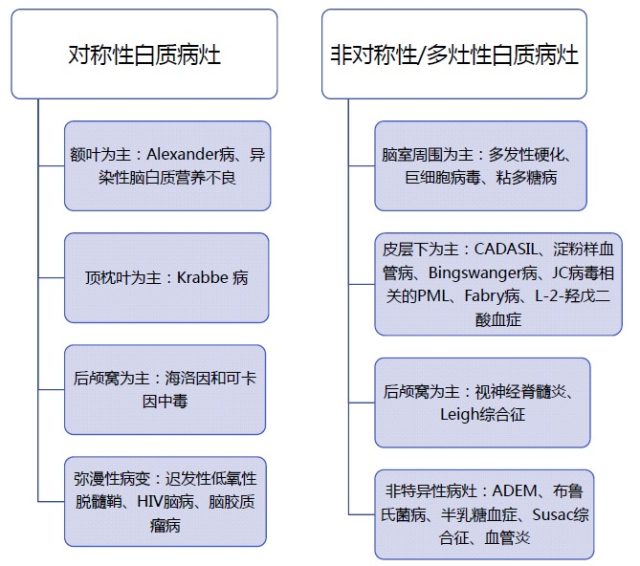 双侧脑白质病变 快速进展性痴呆 你的诊断是 丁香园