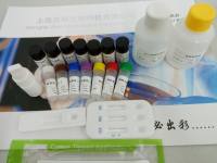 小反刍兽疫抗体检测试剂盒(阻断法）