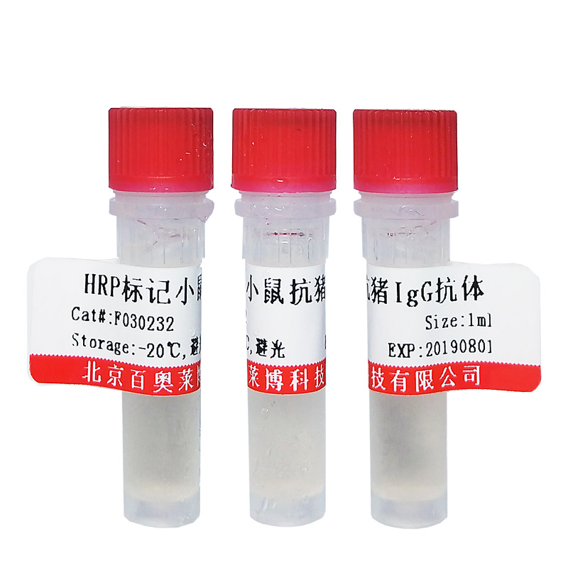 F030241型小鼠抗鸡IgY(IgG)抗体(HRP标记)北京价格