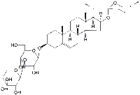 薯蓣皂苷元-3-O-β-D-木糖-(1→3)-β-D-葡萄糖苷售后服务