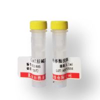 北京兔抗牛IgG抗体报价