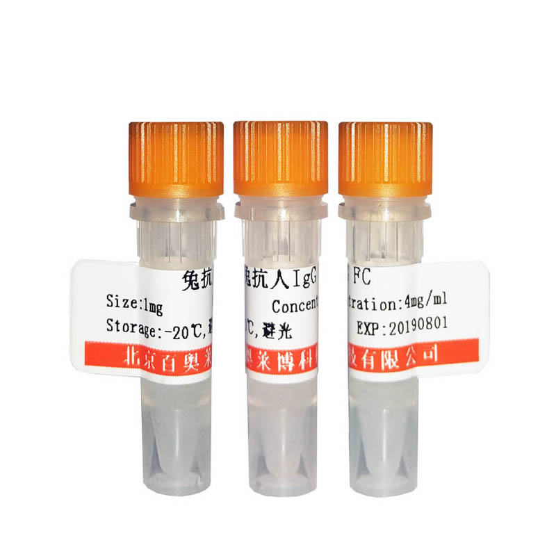山羊抗小鼠IgA抗体(胶体金标记) 胶体金标记抗体