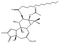 伏波酯-12-十四烷酸酯-13-乙酸酯16561-29-8价格