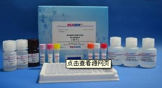 IRF1试剂盒